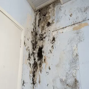 Seepage problem